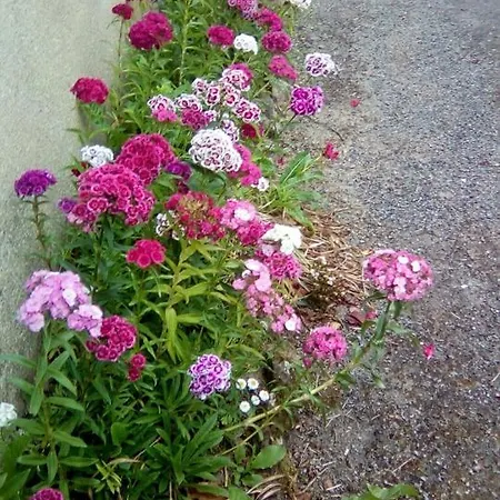 別荘 De La Sapiniere A 15 Min Du Puy Du Fou La Pommeraie-sur-Sèvre
